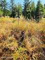 NNA Orion 20Acres Dr - Photo 30