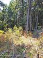 2900 Juniper Ln - Photo 10