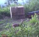 2900 Juniper Ln - Photo 12