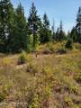 2900 Juniper Ln - Photo 5