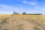 8597 Rolling Hills Road - Photo 44