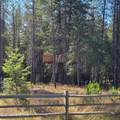 32647 Tahoe Dr - Photo 46