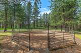 6936 Highview Dr - Photo 80