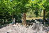 484 Timber Basin Rd - Photo 59