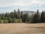 149 Meadow Road - Photo 43