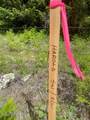 NNA 80 Acres Blue Lake Rd - Photo 11