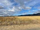 NKA Fox Road 150 Acres - Photo 3