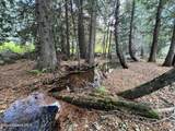 3579 Bear Creek Rd - Photo 10