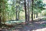 NKA Blue Grouse Rd - Photo 7