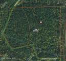 NNA 46 Acres Iron Horse Rd - Photo 2