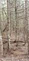 80 Ridge Dr (Tract 8) - Photo 34
