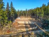 320 Towering Pines Drive (5 Ac) - Photo 15