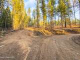 320 Towering Pines Drive (5 Ac) - Photo 20