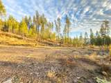 320 & NNA Towering Pines (11.25Ac) - Photo 10