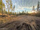 320 & NNA Towering Pines (11.25Ac) - Photo 13