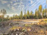 320 & NNA Towering Pines (11.25Ac) - Photo 14