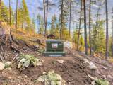320 & NNA Towering Pines (11.25Ac) - Photo 15