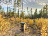 320 & NNA Towering Pines (11.25Ac) - Photo 16