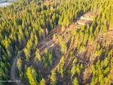 320 & NNA Towering Pines (11.25Ac) - Photo 17