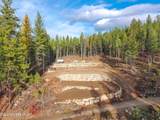 320 & NNA Towering Pines (11.25Ac) - Photo 6