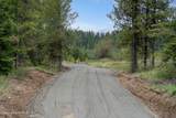 1175 Sheep Creek Parcel E - Photo 3