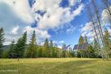 452 Ruby Creek (90.5 Acres) Rd - Photo 13