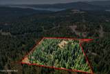 Lot 4 Fsr 439 - Photo 14