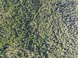 NKA Lookout Rd - Photo 26