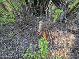 NKA Lookout Rd - Photo 43