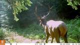 NKA Lookout Rd - Photo 6