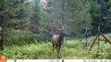 NKA Lookout Rd - Photo 7