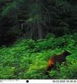 NKA Lookout Rd - Photo 9