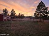 331 15th St - Photo 58