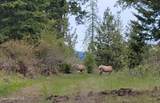 5254 Mabel Ln - Photo 45