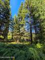 NNA Pup Paw Trail - Photo 10