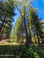 NNA Pup Paw Trail - Photo 14