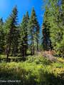 NNA Pup Paw Trail - Photo 15