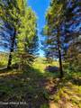 NNA Pup Paw Trail - Photo 4