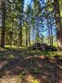 NNA Pup Paw Trail - Photo 5