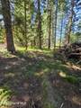 NNA Pup Paw Trail - Photo 7