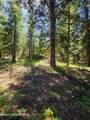 NNA Pup Paw Trail - Photo 8
