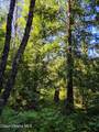 NNA Pup Paw Trail - Photo 9