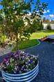 3262 Woodford St - Photo 44