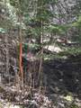  Tyson Creek Rd - Photo 10