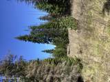  Tyson Creek Rd - Photo 13