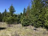  Tyson Creek Rd - Photo 14