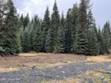  Tyson Creek Rd - Photo 5