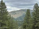 1600 Patches Ln - Photo 57