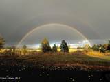 8827 Carnie Rd - Photo 42