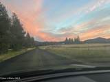 8827 Carnie Rd - Photo 44